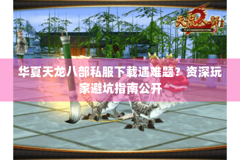 华夏天龙八部私服下载遇难题？资深玩家避坑指南公开
