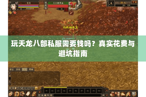 玩天龙八部私服需要钱吗？真实花费与避坑指南