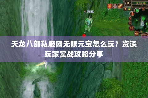 天龙八部私服网无限元宝怎么玩？资深玩家实战攻略分享