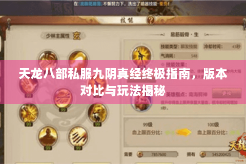 天龙八部私服九阴真经终极指南，版本对比与玩法揭秘