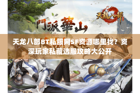 天龙八部BT私服网SF资源哪里找？资深玩家私藏选服攻略大公开