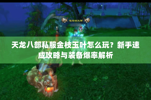 天龙八部私服金枝玉叶怎么玩？新手速成攻略与装备爆率解析