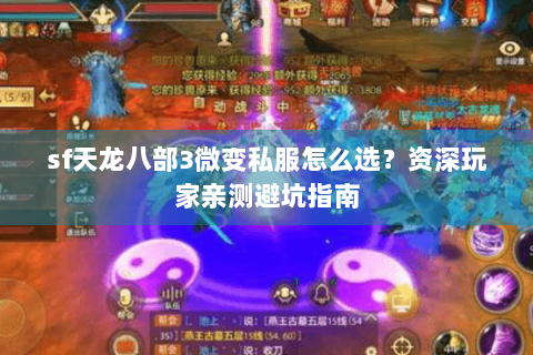 sf天龙八部3微变私服怎么选？资深玩家亲测避坑指南