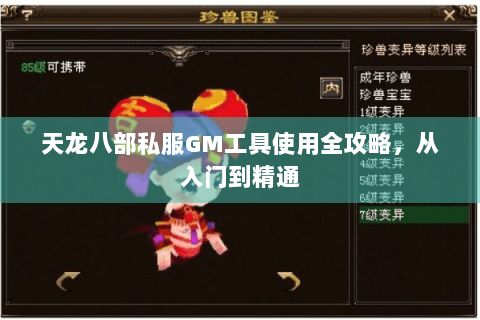 天龙八部私服GM工具使用全攻略，从入门到精通