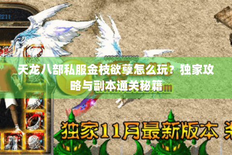 天龙八部私服金枝欲孽怎么玩？独家攻略与副本通关秘籍