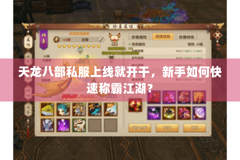 天龙八部私服上线就开干，新手如何快速称霸江湖？
