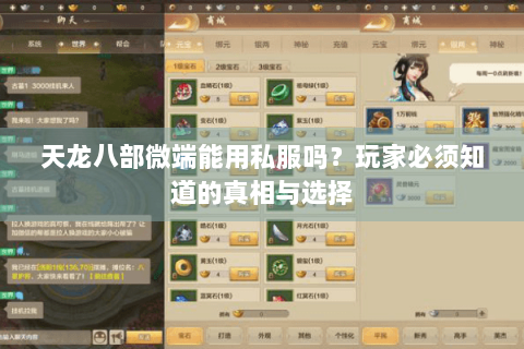 天龙八部微端能用私服吗？玩家必须知道的真相与选择