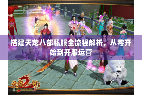 搭建天龙八部私服全流程解析，从零开始到开服运营
