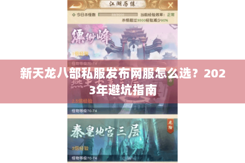 新天龙八部私服发布网服怎么选？2023年避坑指南