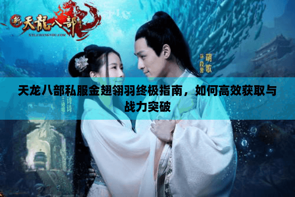 天龙八部私服金翅翎羽终极指南，如何高效获取与战力突破