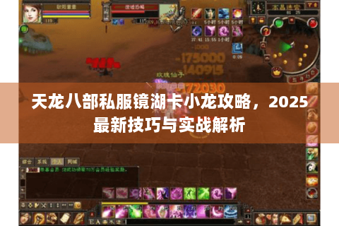 天龙八部私服镜湖卡小龙攻略，2025最新技巧与实战解析