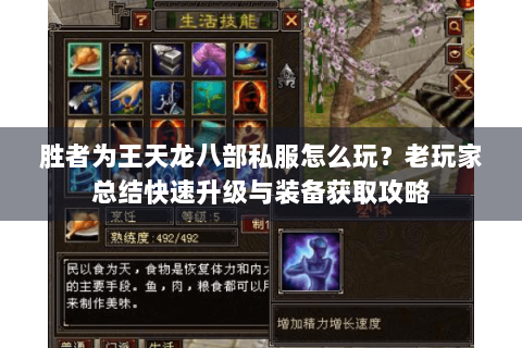 胜者为王天龙八部私服怎么玩？老玩家总结快速升级与装备获取攻略