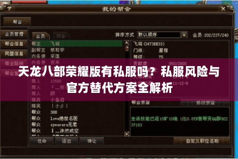 天龙八部荣耀版有私服吗？私服风险与官方替代方案全解析