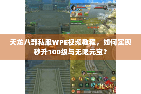 天龙八部私服WPE视频教程，如何实现秒升100级与无限元宝？