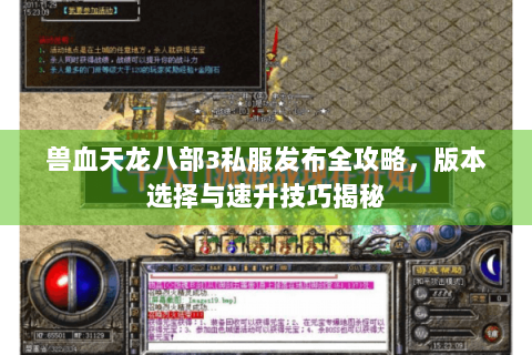 兽血天龙八部3私服发布全攻略，版本选择与速升技巧揭秘