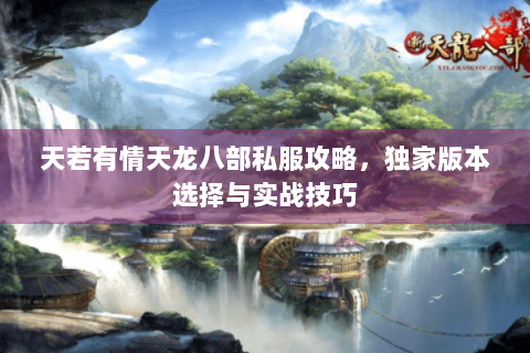 天若有情天龙八部私服攻略，独家版本选择与实战技巧