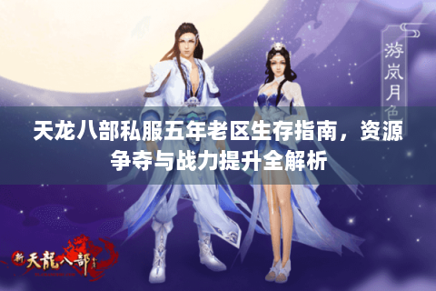 天龙八部私服五年老区生存指南，资源争夺与战力提升全解析