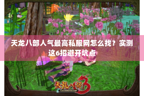 天龙八部人气最高私服网怎么找？实测这6招避开坑点