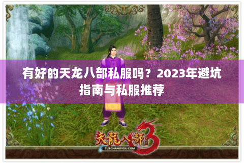 有好的天龙八部私服吗？2023年避坑指南与私服推荐