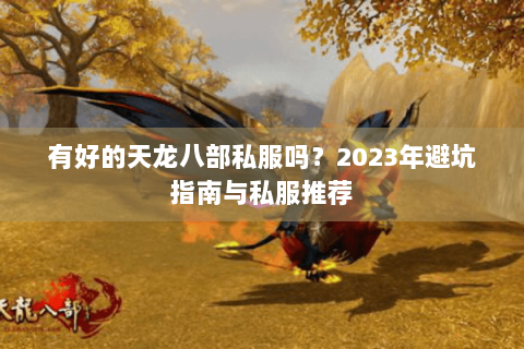 有好的天龙八部私服吗？2023年避坑指南与私服推荐