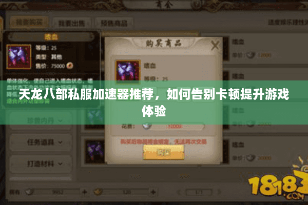 天龙八部私服加速器推荐，如何告别卡顿提升游戏体验