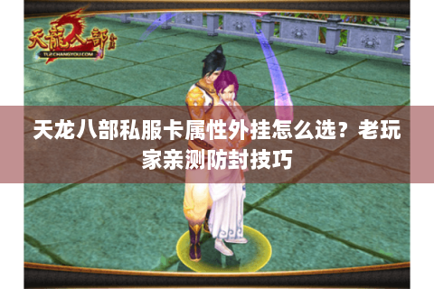天龙八部私服卡属性外挂怎么选？老玩家亲测防封技巧