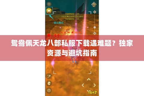 鸳鸯佩天龙八部私服下载遇难题？独家资源与避坑指南