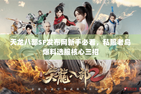 天龙八部SF发布网新手必看，私服老鸟爆料选服核心三招