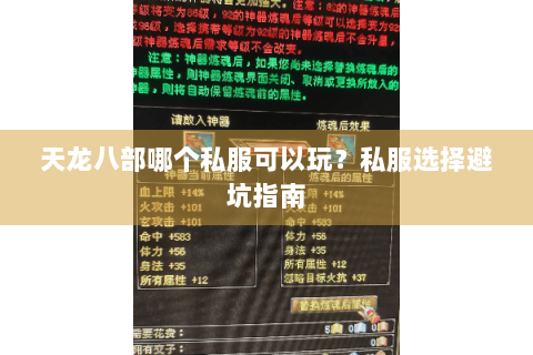 天龙八部哪个私服可以玩？私服选择避坑指南