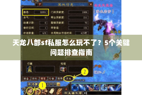 天龙八部sf私服怎么玩不了？5个关键问题排查指南