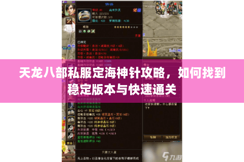 天龙八部私服定海神针攻略，如何找到稳定版本与快速通关