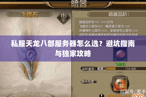 私服天龙八部服务器怎么选？避坑指南与独家攻略