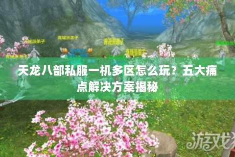 天龙八部私服一机多区怎么玩？五大痛点解决方案揭秘