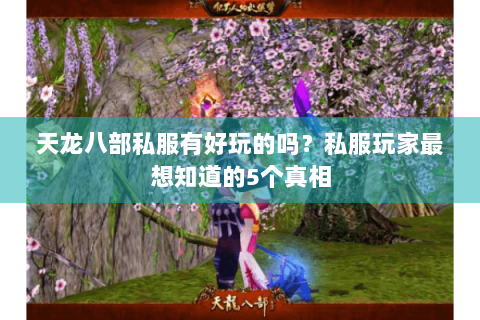 天龙八部私服有好玩的吗？私服玩家最想知道的5个真相