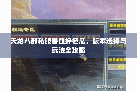天龙八部私服兽血好冬瓜，版本选择与玩法全攻略