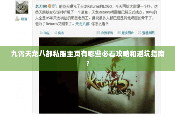 九霄天龙八部私服主页有哪些必看攻略和避坑指南？