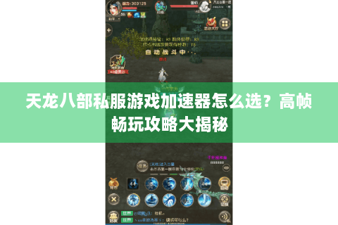 天龙八部私服游戏加速器怎么选？高帧畅玩攻略大揭秘