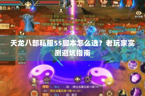 天龙八部私服55脚本怎么选？老玩家实测避坑指南