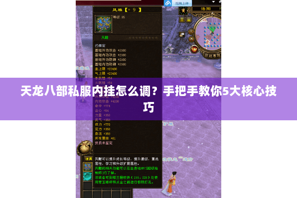 天龙八部私服内挂怎么调？手把手教你5大核心技巧