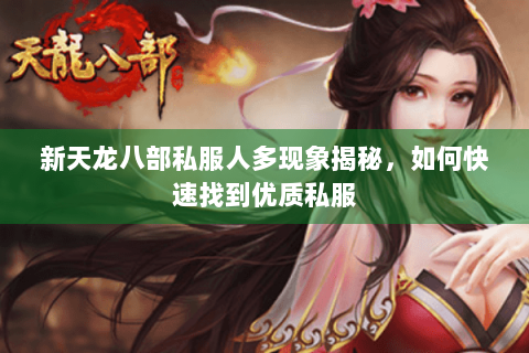 新天龙八部私服人多现象揭秘，如何快速找到优质私服