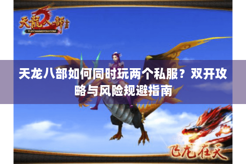 天龙八部如何同时玩两个私服？双开攻略与风险规避指南