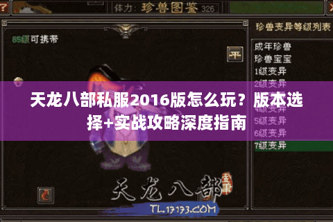 天龙八部私服2016版怎么玩？版本选择+实战攻略深度指南
