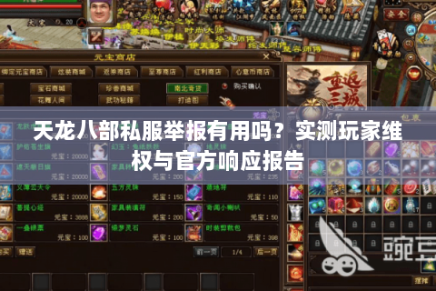 天龙八部私服举报有用吗？实测玩家维权与官方响应报告
