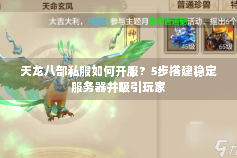 天龙八部私服如何开服？5步搭建稳定服务器并吸引玩家