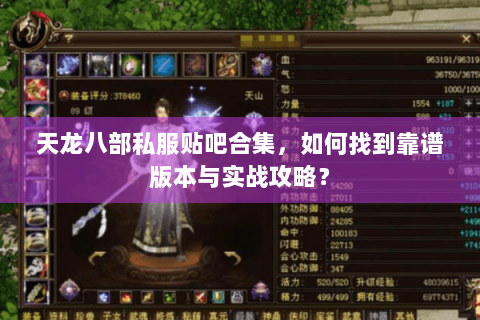天龙八部私服贴吧合集，如何找到靠谱版本与实战攻略？