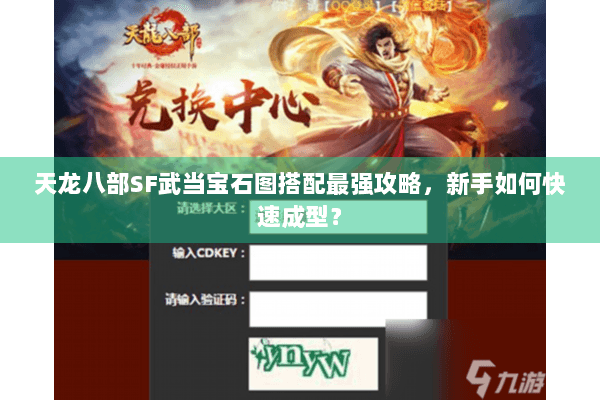 天龙八部SF武当宝石图搭配最强攻略，新手如何快速成型？