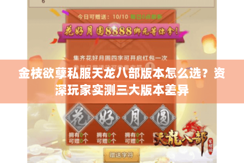 金枝欲孽私服天龙八部版本怎么选？资深玩家实测三大版本差异