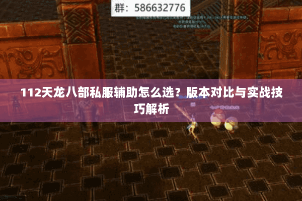 112天龙八部私服辅助怎么选？版本对比与实战技巧解析
