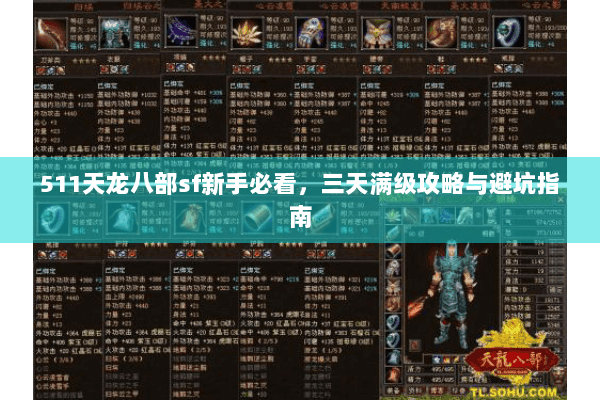 511天龙八部sf新手必看，三天满级攻略与避坑指南