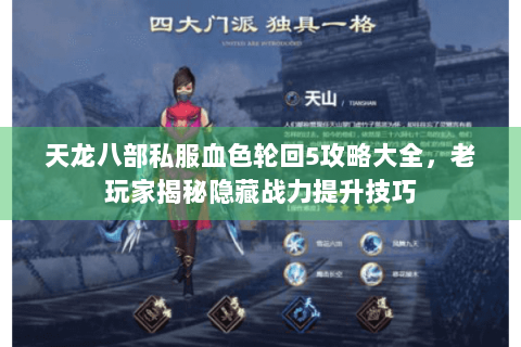 天龙八部私服血色轮回5攻略大全，老玩家揭秘隐藏战力提升技巧
